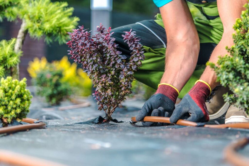 irrigatiesysteem tuin